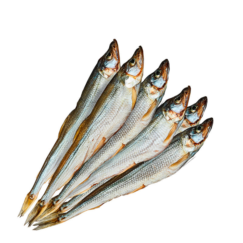 Smelt Fishes On Net Pacific Smelt Stock Photo 1068339830