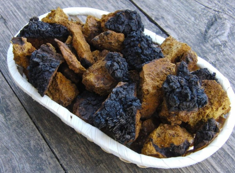 Wild Birch Mushrooms Чага (березовый гриб) 100G