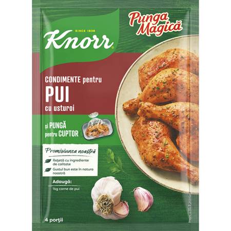 RO Knorr Punga M/Magic Bag.Chicken/Garlic 29g