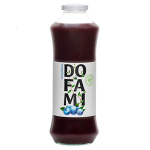 Blueberry nectar with pulp 250ML