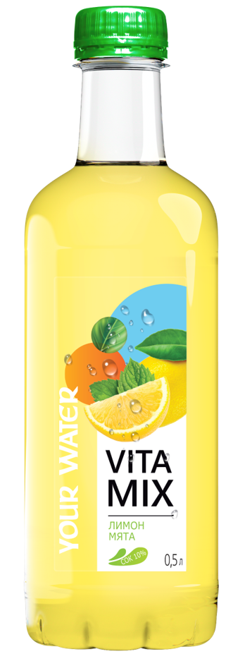 Vitamin Lemon Mint Water  500ML